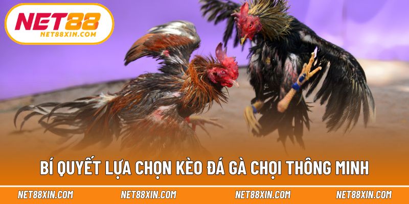 Gợi ý cách phân tích trước khi chọn kèo