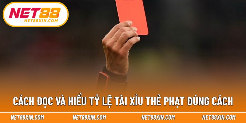 Hướng dẫn đọc tỷ lệ và luật áp dụng cơ bản