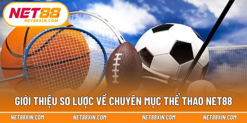 Khái quát định hướng nội dung thể thao trực tuyến