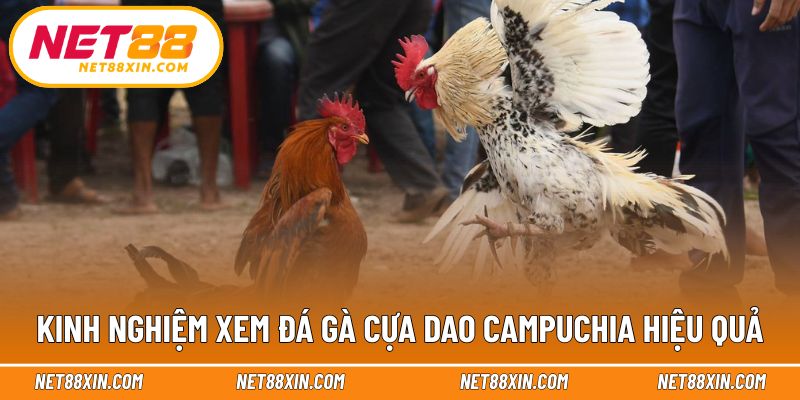 Kinh nghiệm giúp theo dõi trận đấu chính xác hơn